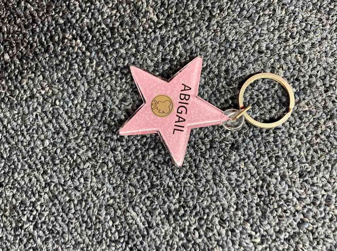 Abigail Star Keychain – Hollywood Walk of Fame Style