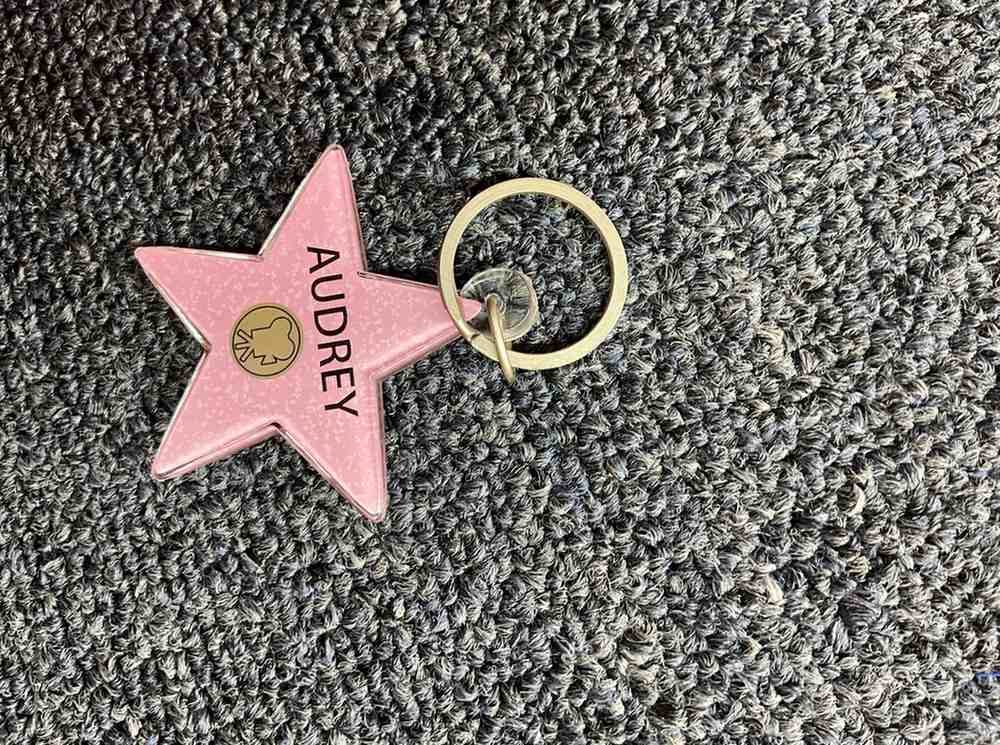 Audrey Star Keychain – Hollywood Walk of Fame Style