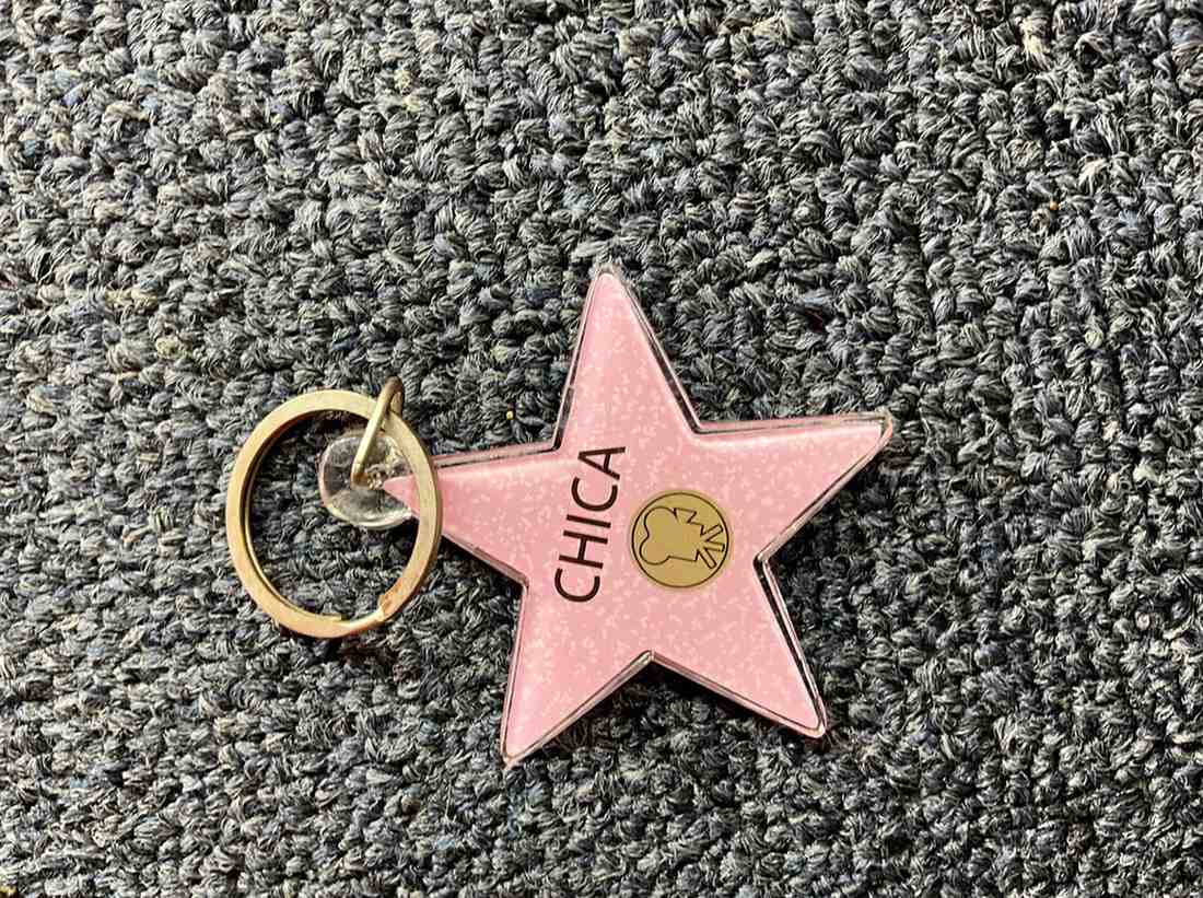Chica Star Keychain – Hollywood Walk of Fame Style
