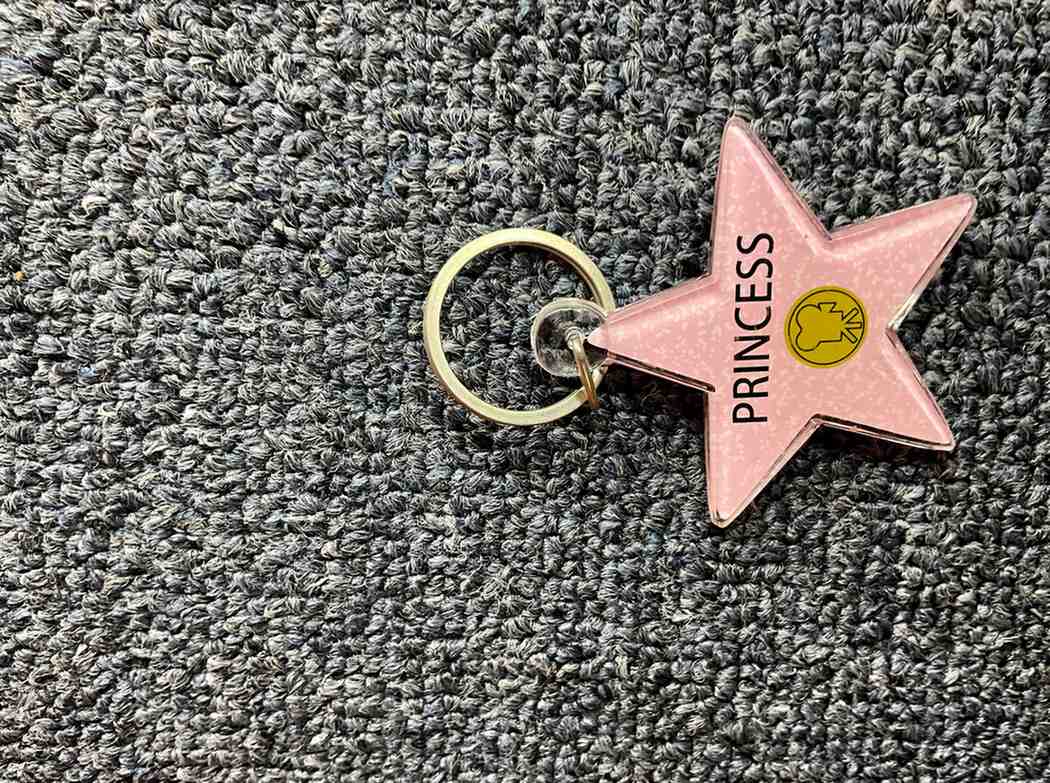 Princess Star Keychain – Hollywood Walk of Fame Style