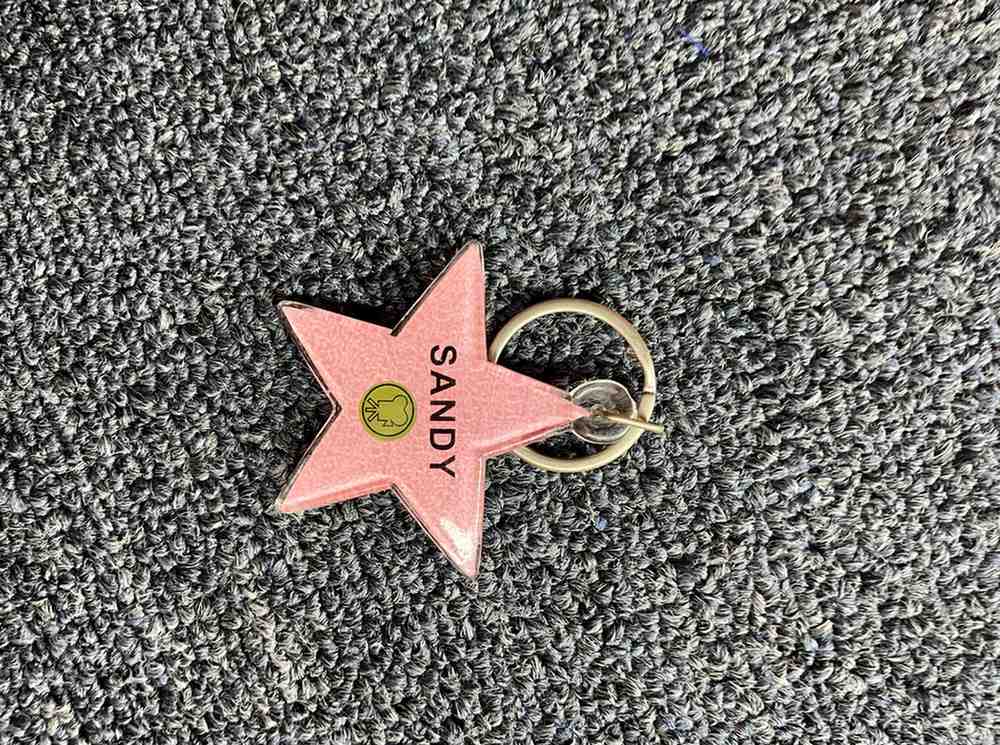 Sandy Star Keychain – Hollywood Walk of Fame Style