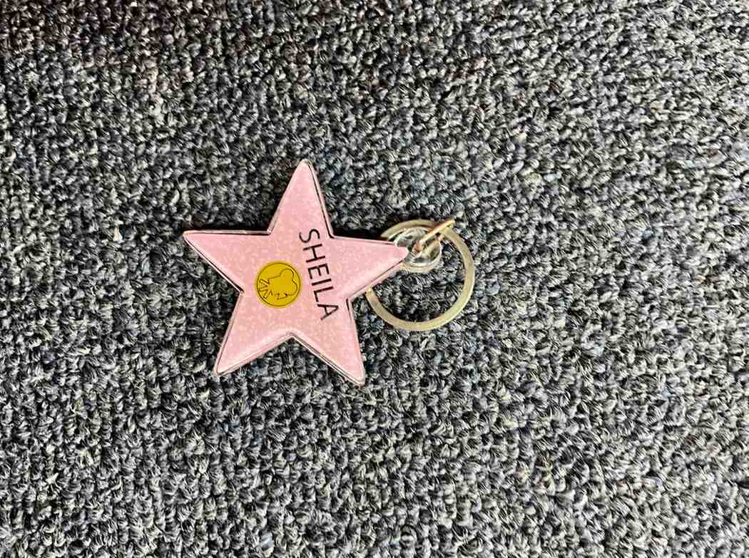 Sheila Star Keychain – Hollywood Walk of Fame Style
