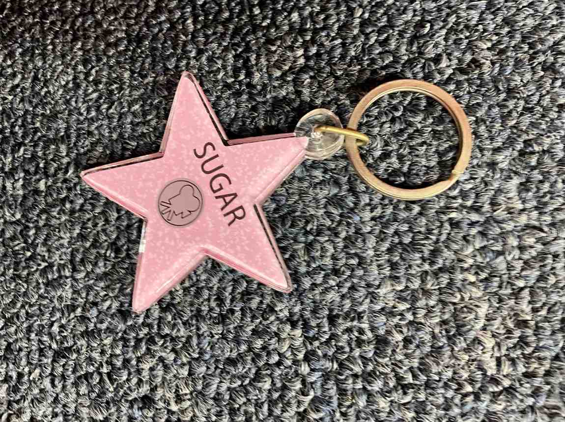 Sugar Star Keychain – Hollywood Walk of Fame Style