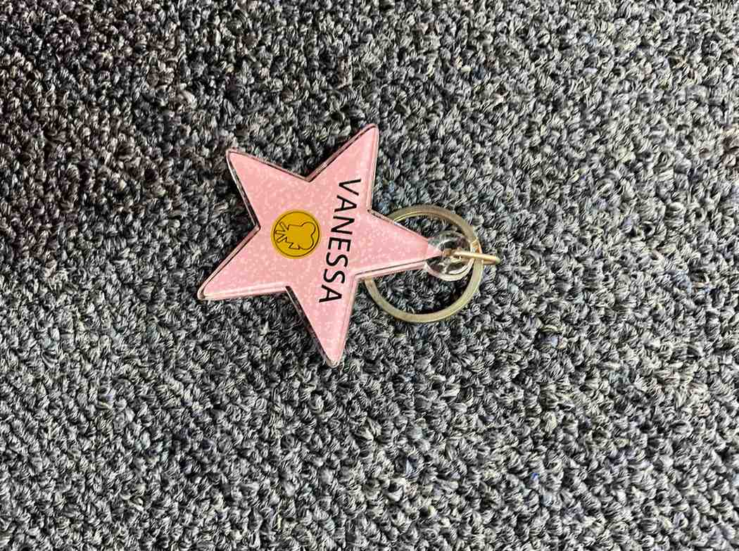 Vanessa Hollywood Star Keychain – Pink