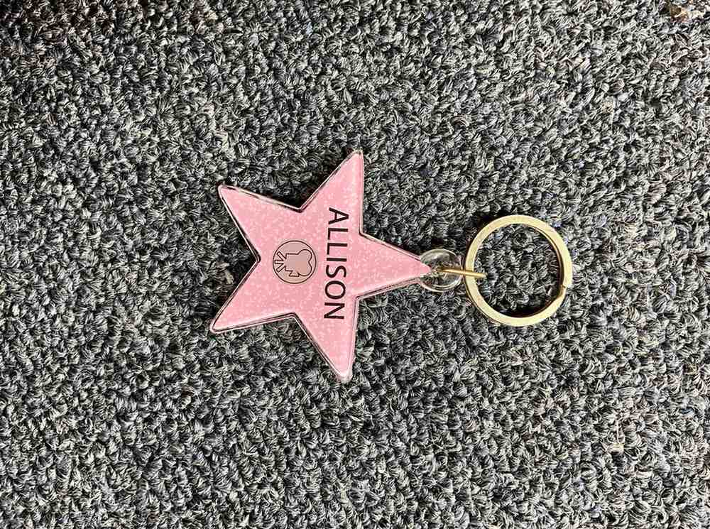 Allison Star Keychain – Hollywood Walk of Fame Edition