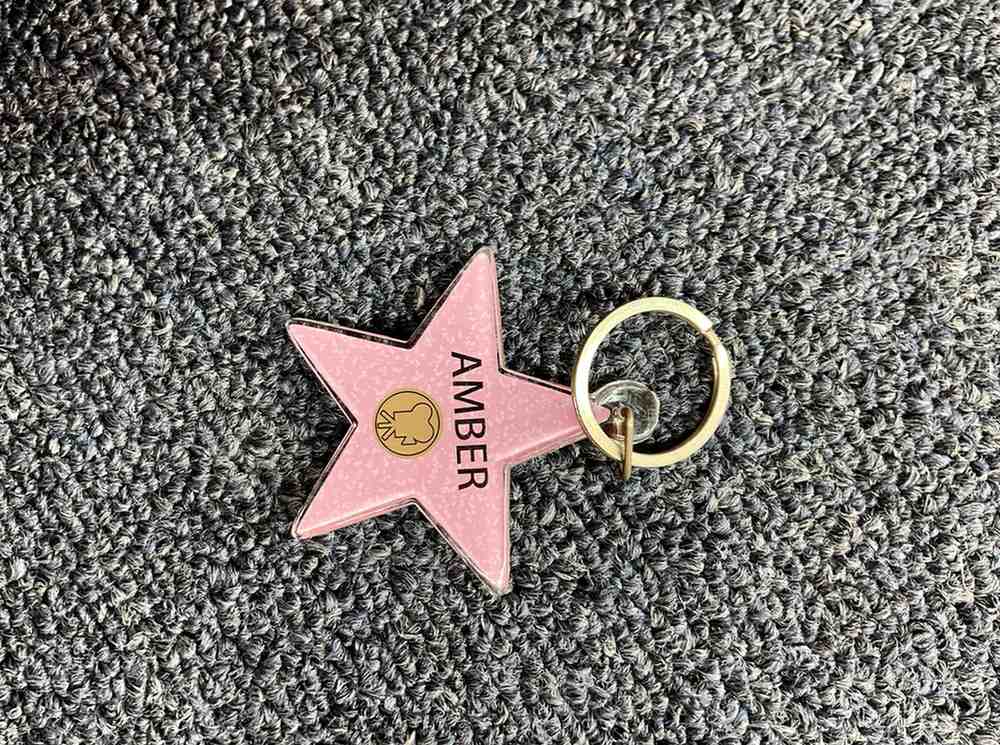 Amber Star Keychain – Hollywood Walk of Fame Edition