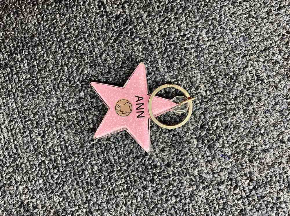 Ann Star Keychain – Hollywood Walk of Fame Edition