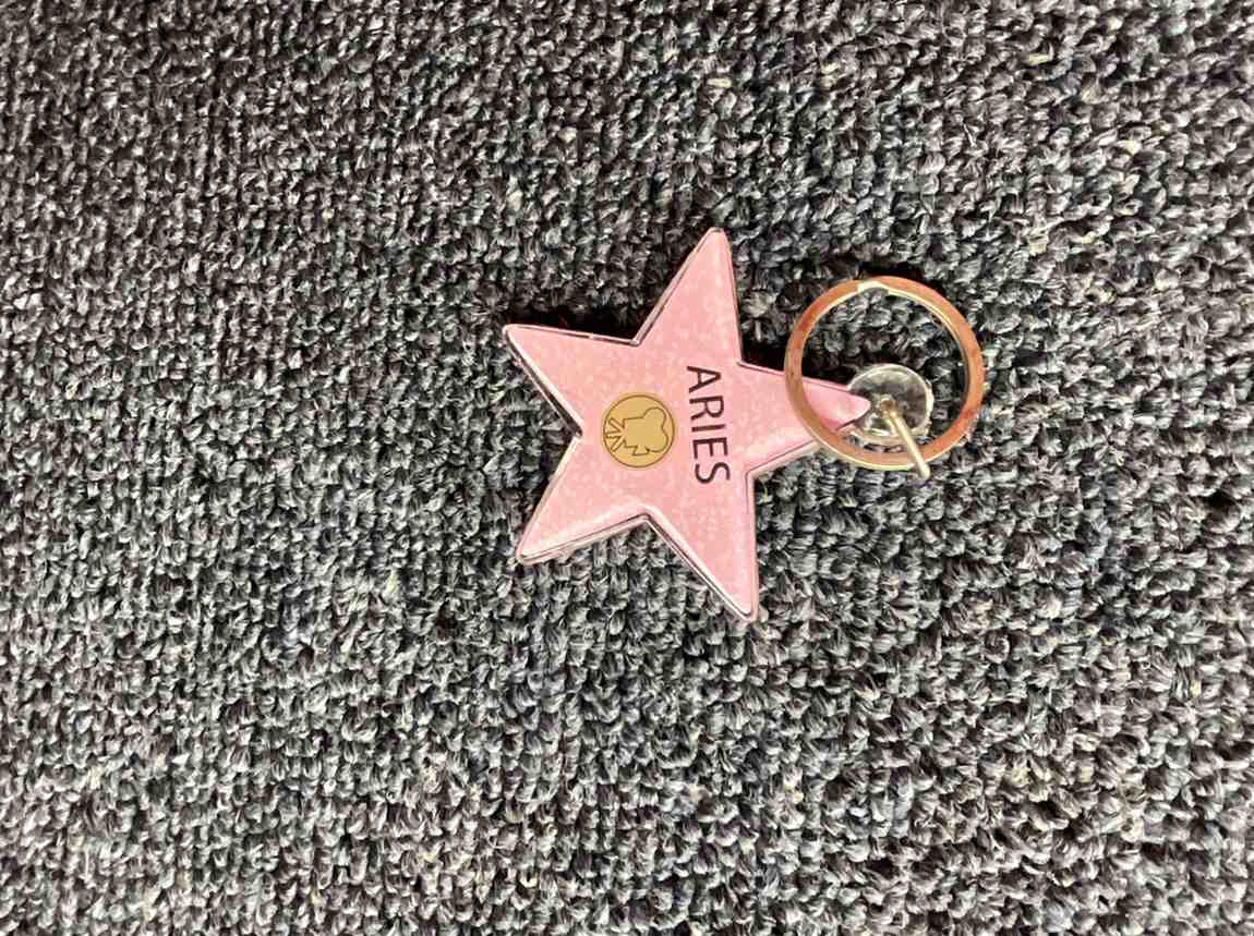 Aries Star Keychain – Hollywood Walk of Fame Edition