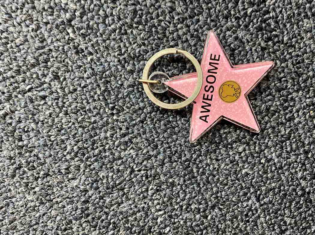 Awesome Star Keychain – Hollywood Walk of Fame Edition